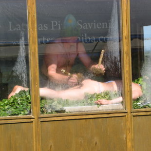 Tiek liktas lietā savvaļas burkānu bongojamās" bumbiņas"