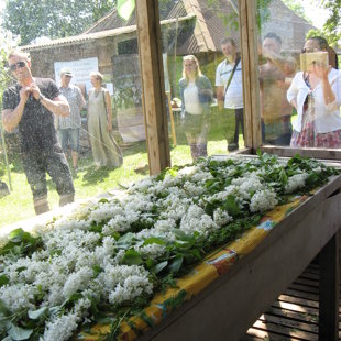 Ceriņu laikā atbilstošs lāvas noformējums.